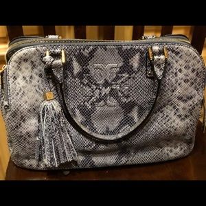 Gorgeous snake skin Thea satchel
